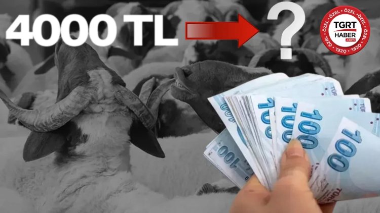 Emekli bayram ikramiyesine ne kadar zam yapılacak? Ekonomist Muhammed Bayram rakam vererek açıkladı